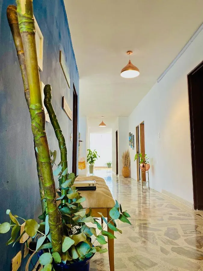 Guest house Casa Compartida 